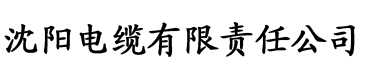 国产精品va无码一区二区三区电缆厂logo